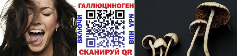 Галлюциногенные грибы MAGIC MUSHROOMS  Боровск 